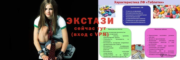 стаф Алзамай
