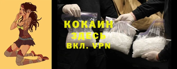 стаф Алзамай